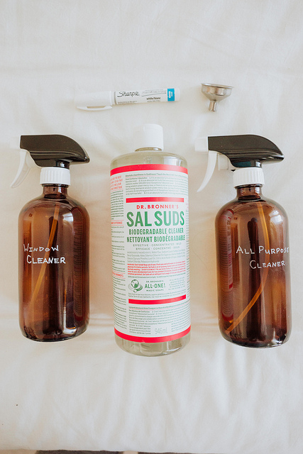 dr. bronner's sal suds review